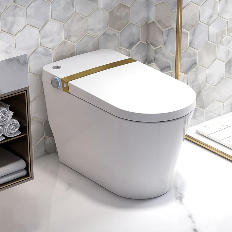 America Design Hotel Bathroom Ceramic Smart Toilet