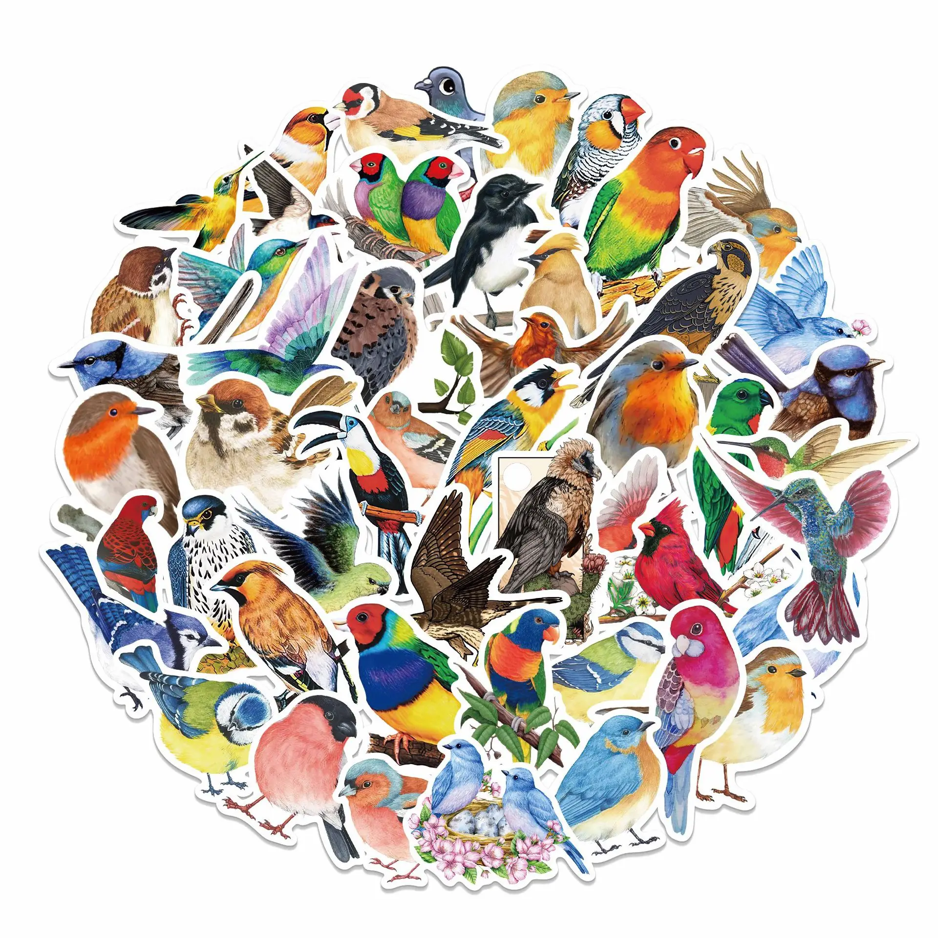 50Pcs Bird Stickers Realistic Zoo Animals Cool Graffiti Stickers For Children Refrigerator Water Bottles Stickers