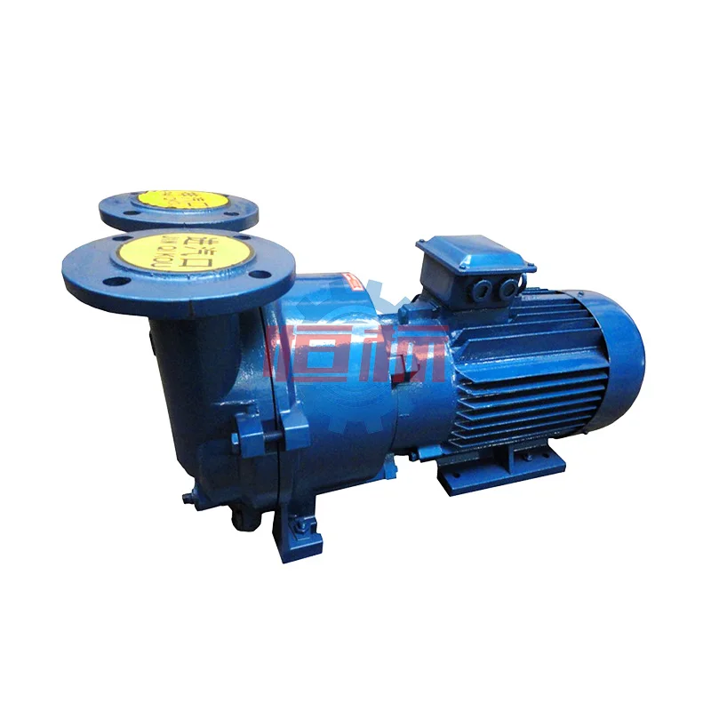 Factory Price 2BV Series Single Stage Liquid Water Ring Vacuum Pump with Stainless Steel Impeller