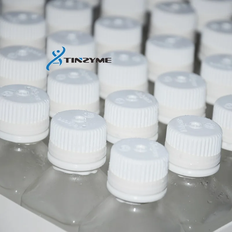 Recombinant Ribonuclease A Lyophilized, RNase A, Animal free