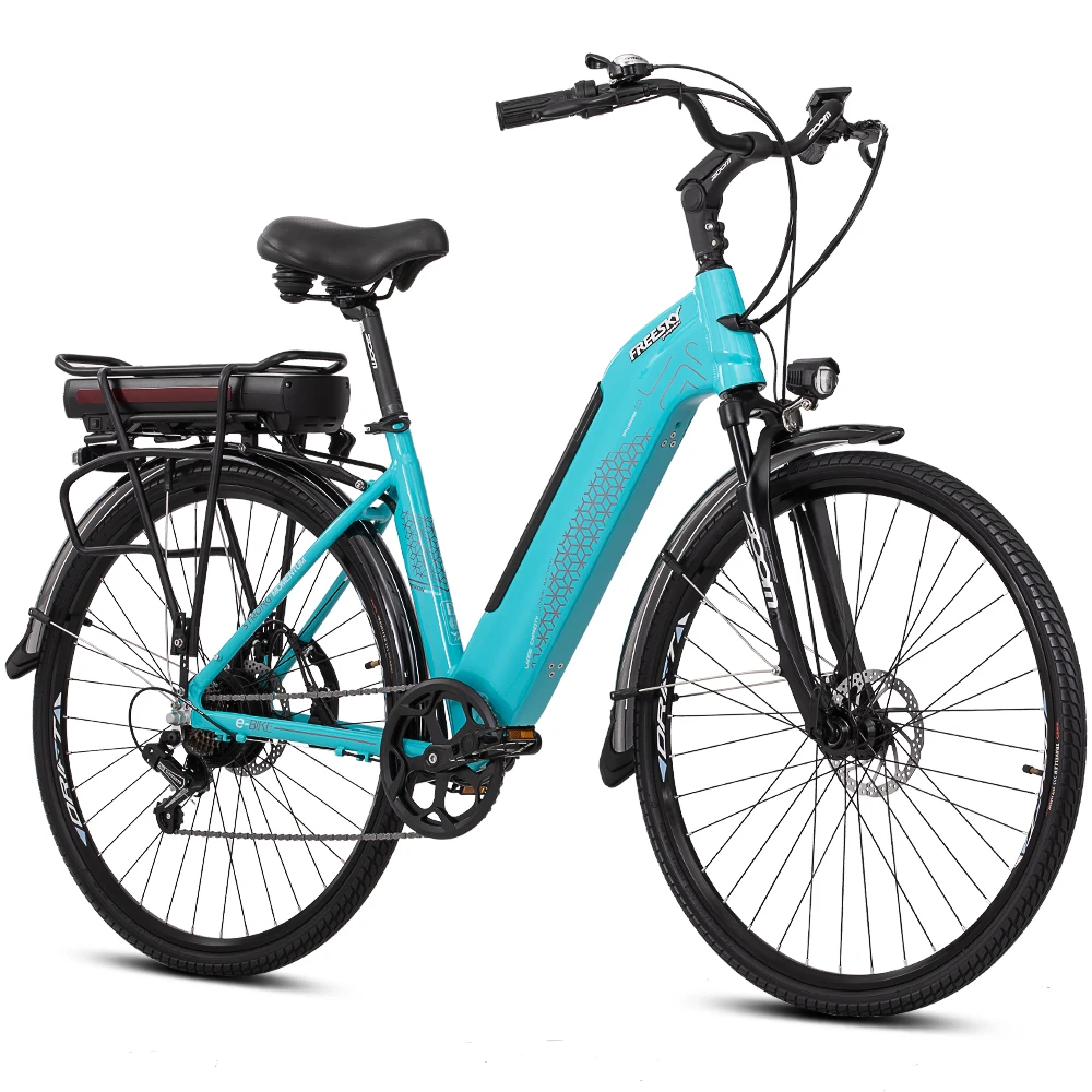 
Fashion electric Bicycle cargo ebike for city bike with double battery 48V 2.8AH 