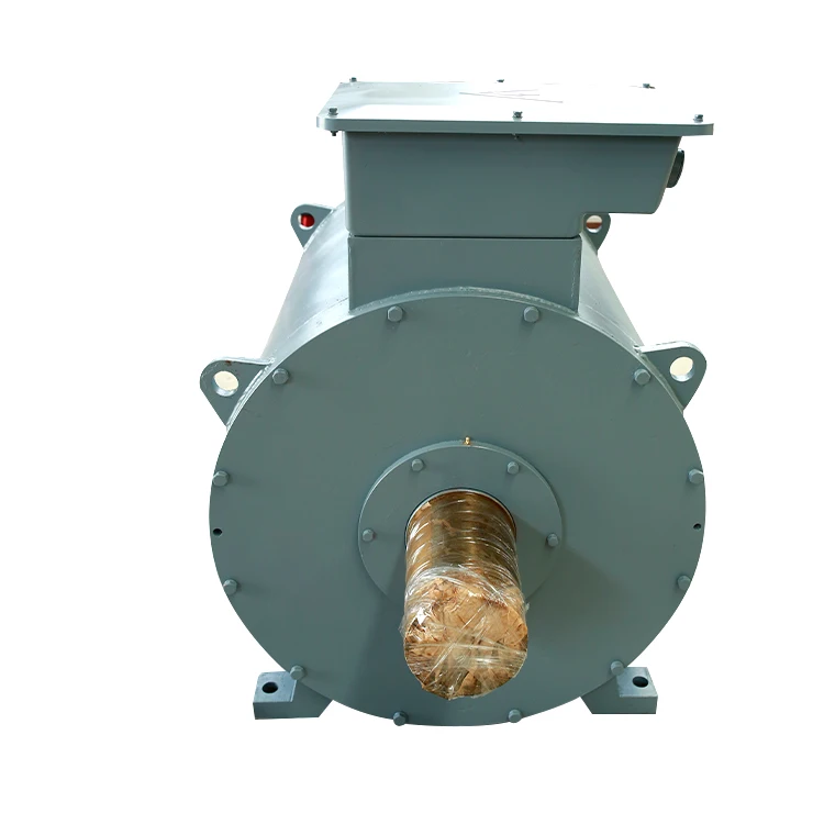 Custom Made 1000kW 250rpm Permanent Magnet Generator Alternator Low Rpm Alternator