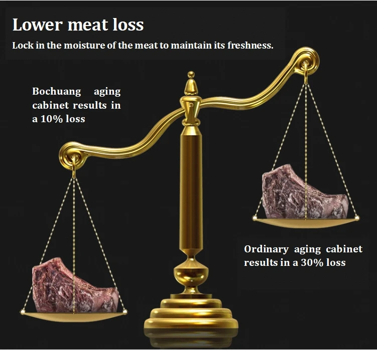 Stainless Steel Meat Dry Aging Refrigerator Product Beef Steak Dry Ager Machine