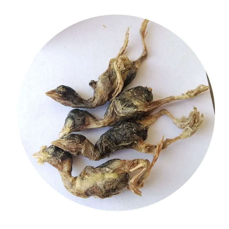 Freeze Dry Quail Pet Food Snack Foods Dog Cat Natural Freeze Dry Quail