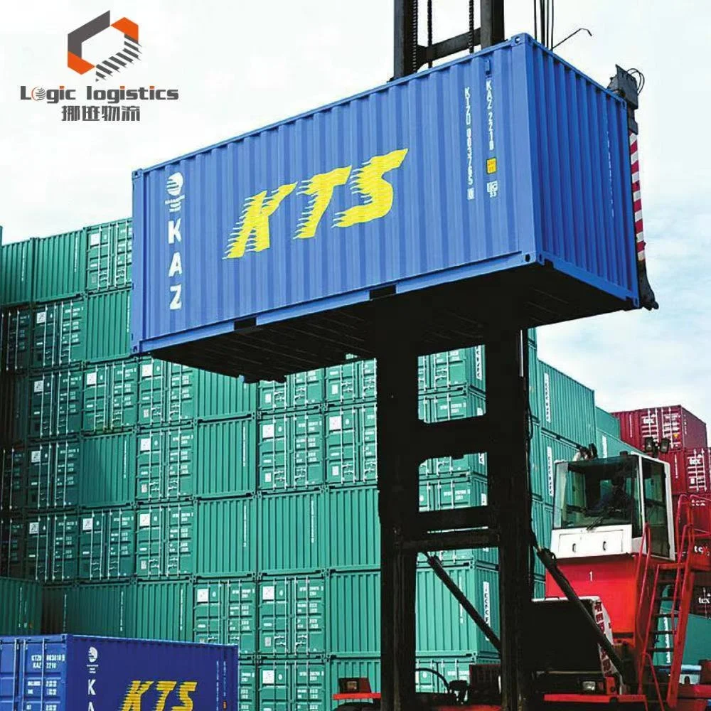 12 years DDP China to Saudi Arabia UAE  Oman professional cif fcl lcl freight forwarder Shipping agent