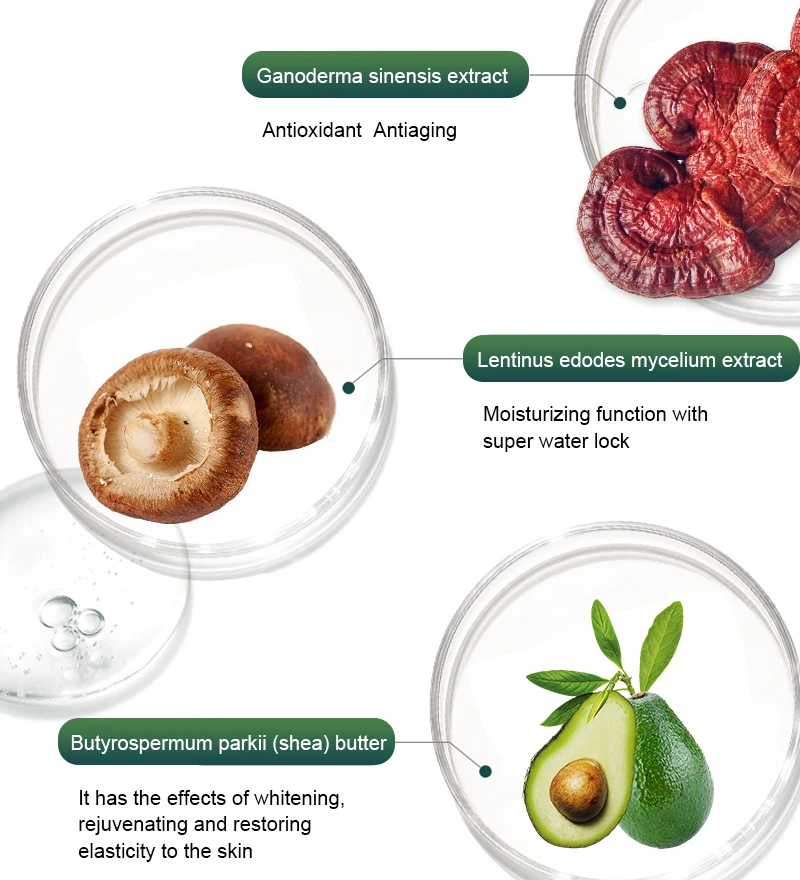 dragons blood face cream 30g moisturizing dragon blood cream lady wrinkle reduce korean facial cream private label