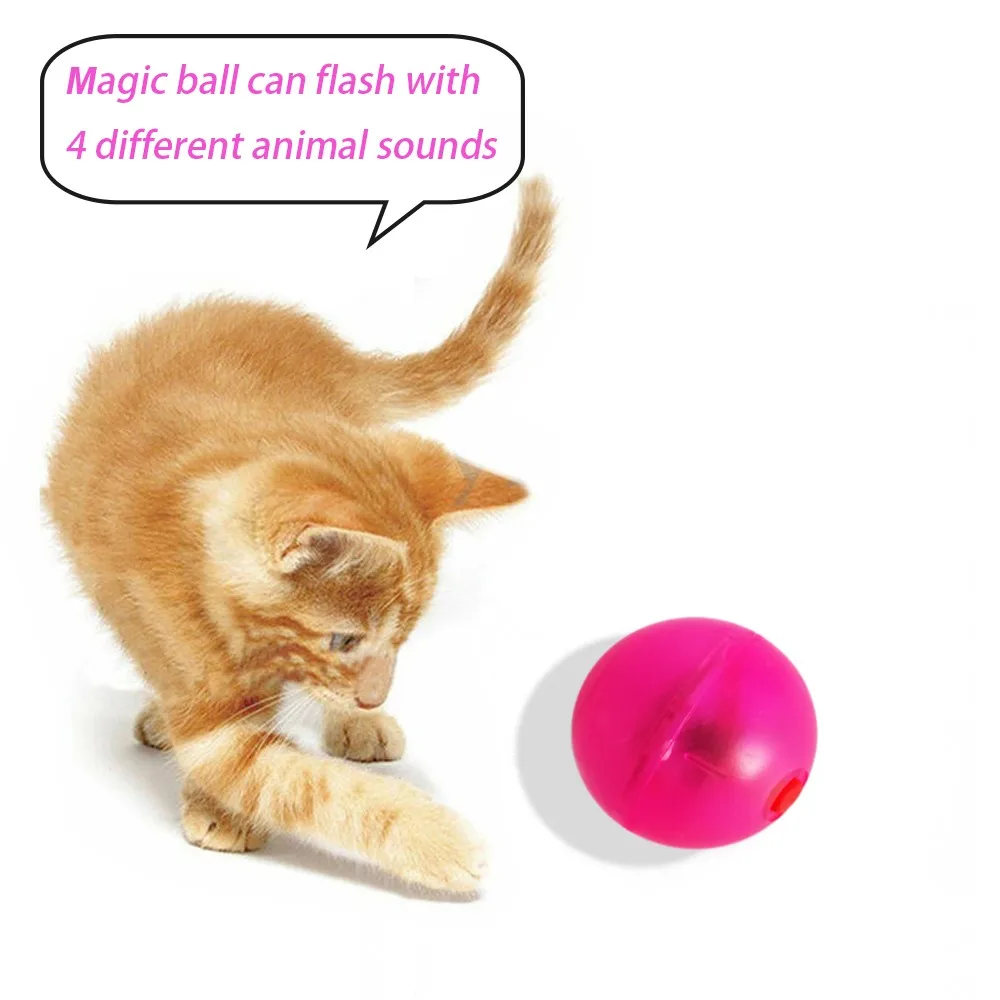 2022 Track Cat Toy Fun Interactive Circle Track with Moving Balls Satisfies Kitty Hunting Chasing Exercising Cat Kitten Ball toy