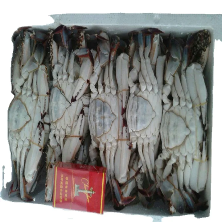 healthy big size many other species exports crab fat Frozen Crab raw material block in stock