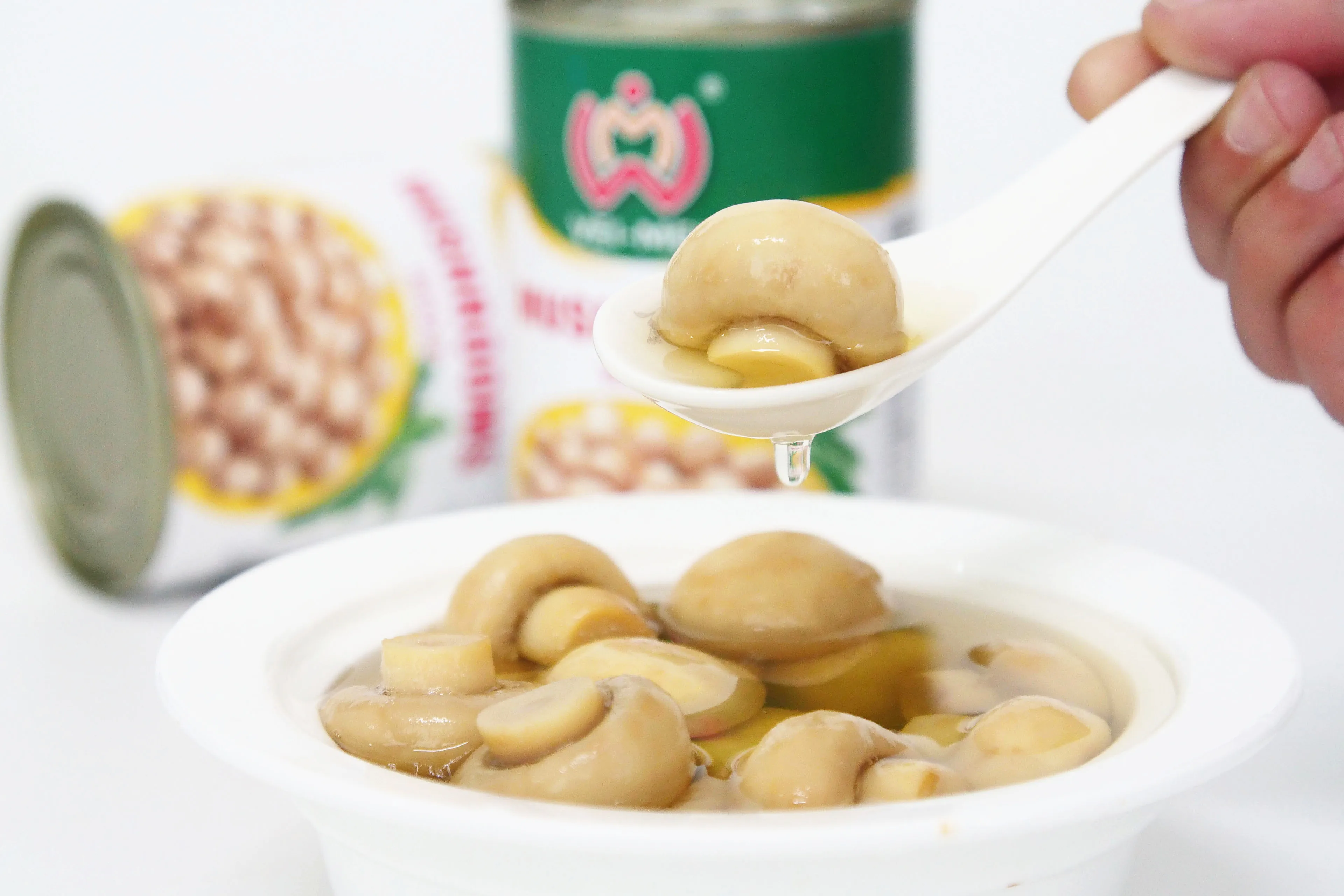 Canned Mushroom Pns/High Quality Canned Mushroom