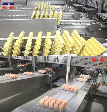 
popular selling industrial egg processing machine electronic egg grader 