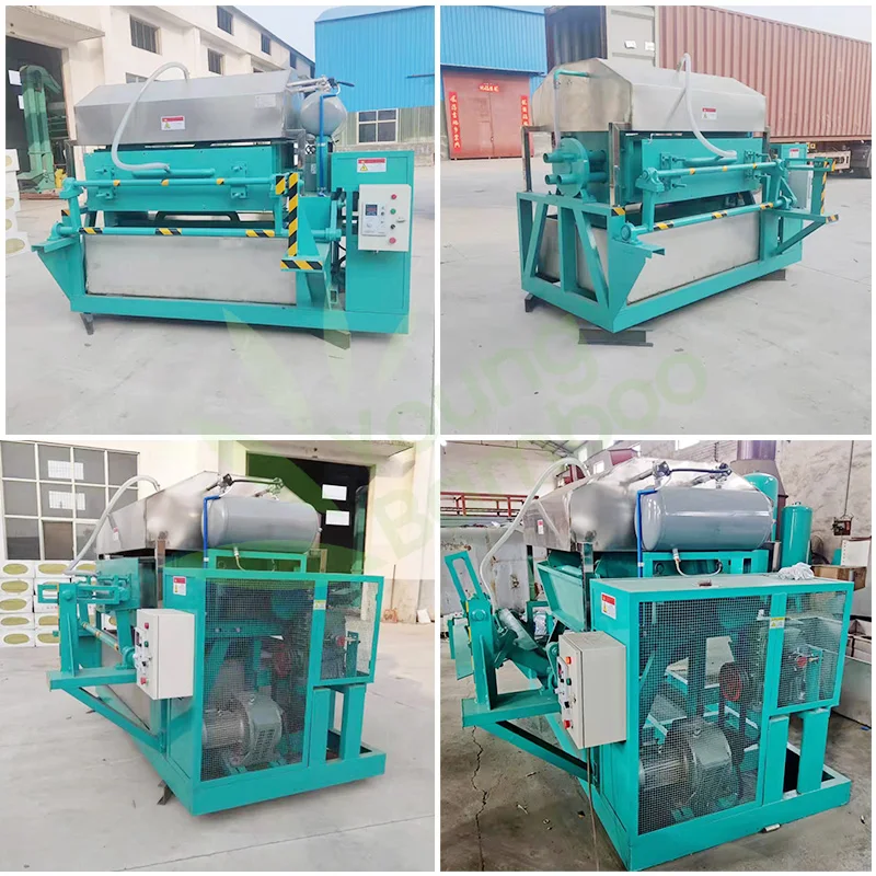 Small egg trays molding machinery paper pulp forming automatic egg carton tray making machine production line price