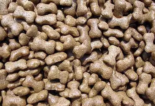 
dog food 