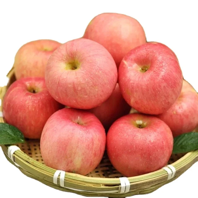 fresh apple fruit  wholesale price whole sale apple