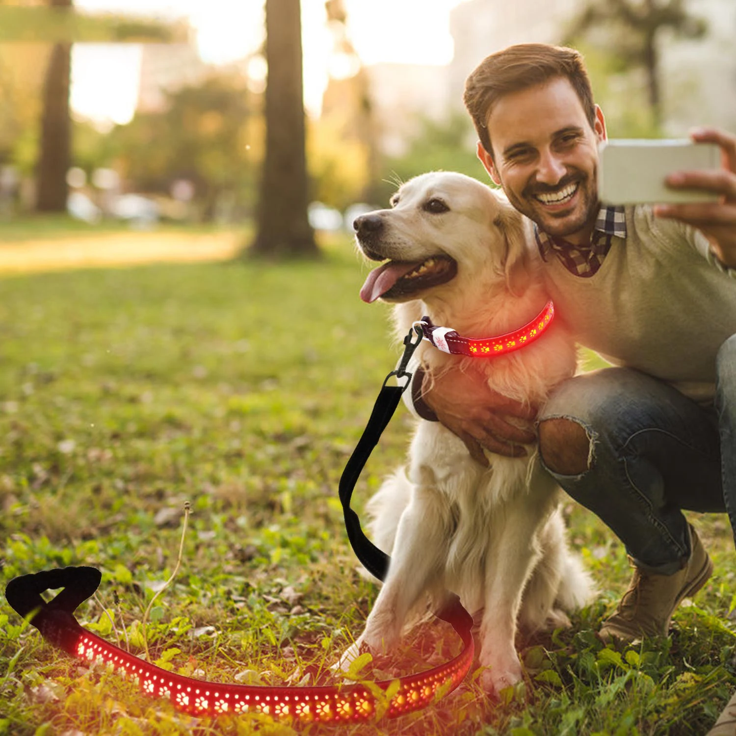 Top Seller Led Dog Leash Usb Glowing In Dark Led Dog Leash Dog Choke Collars Night Light Pet Collar