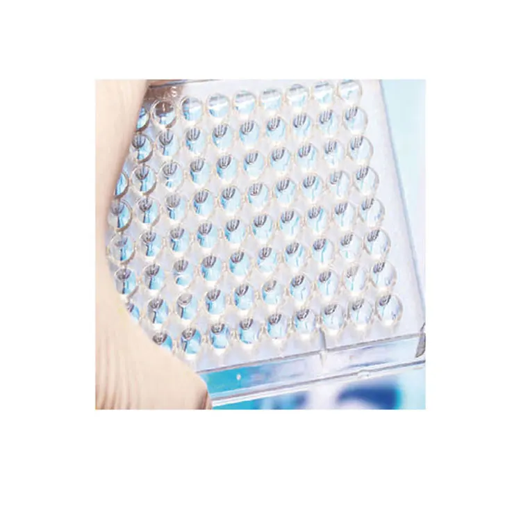 Medical science laboratory sterile disposable cell culture plate microplate for cell culture