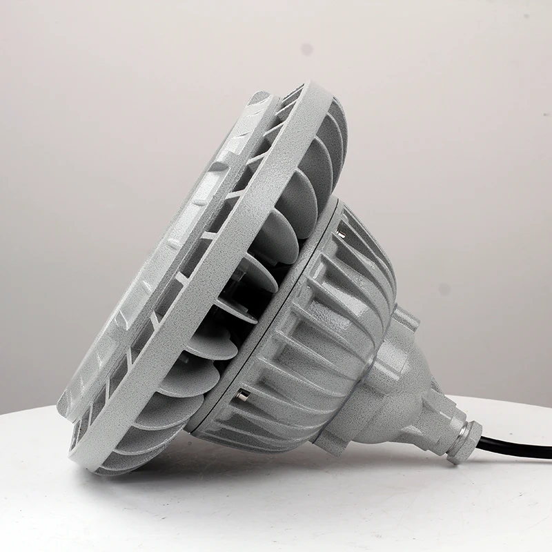 EX Lighting Ex Proof Electric Floodlight 120W Lamp IP66 WF2 Explosion-Proof Led Lighting