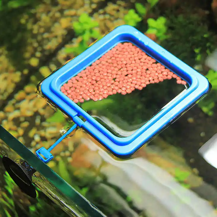 100mm and 75mm Square and Round Shape Fish Tank Towels Safe Floating Food Feeder with Suction Cup for Fish Feeding