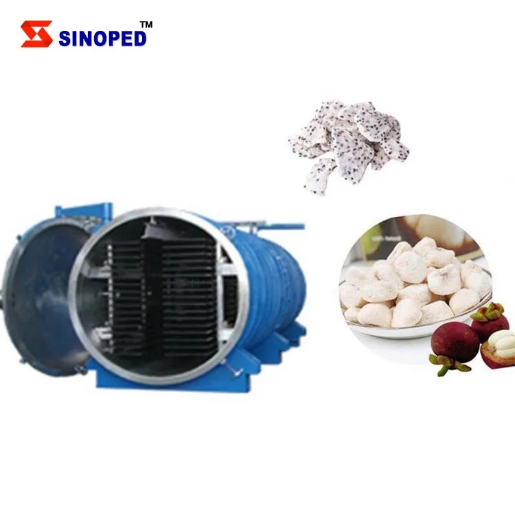 50kg Fruit Vegetable Meat Durain Mango Vacuum Freeze Dryer Dehydration Equipment