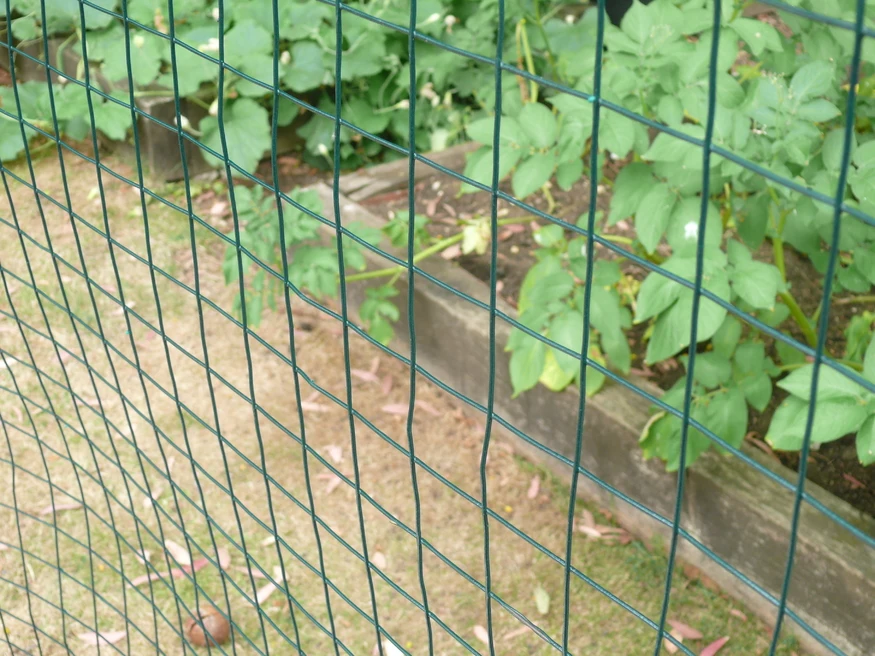 Metal Net/protective Fence Net/fencing Wire Mesh Iron Custom Made Animals Plastic Garden Fence Fencing, Trellis & Gates Q195