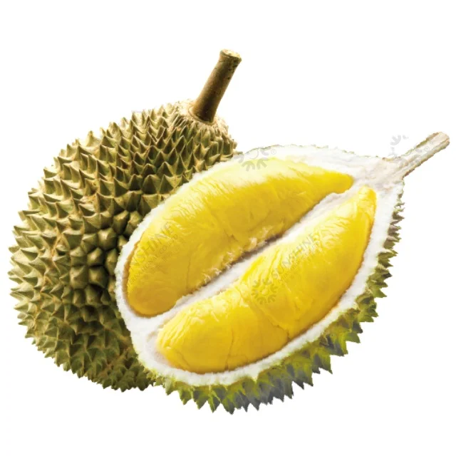 
100% Natural Thick Pulp Special Taste Premium Quality Frozen Durian Monthong Whole 100g Per Pack From Thailand 