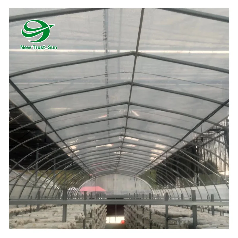 
wholesale Single-Span plastic shed shading system tunnel mushroom greenhouses 