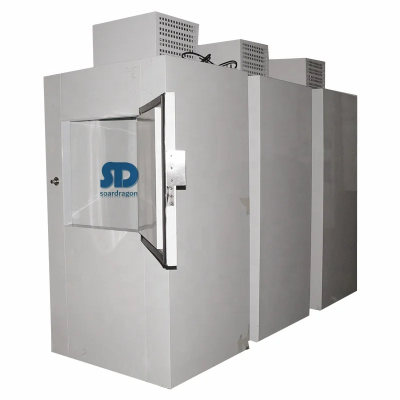 Soardragon Ice merchandiser Foaming Door bagged Ice Storage bin freezer 110v 220v