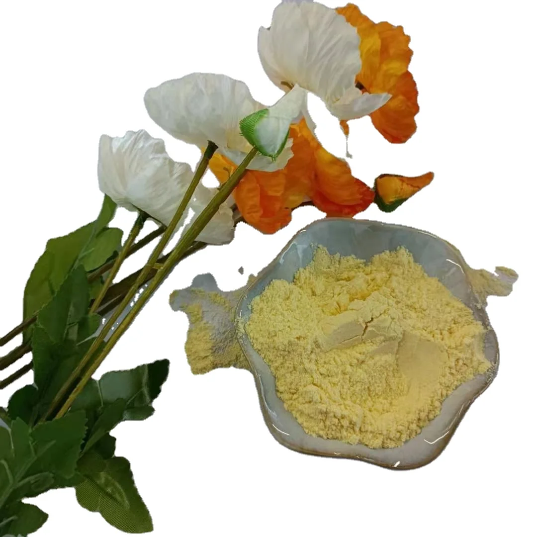 China supply sunflower Lecithin soy Lecithin powder 8002-43-5