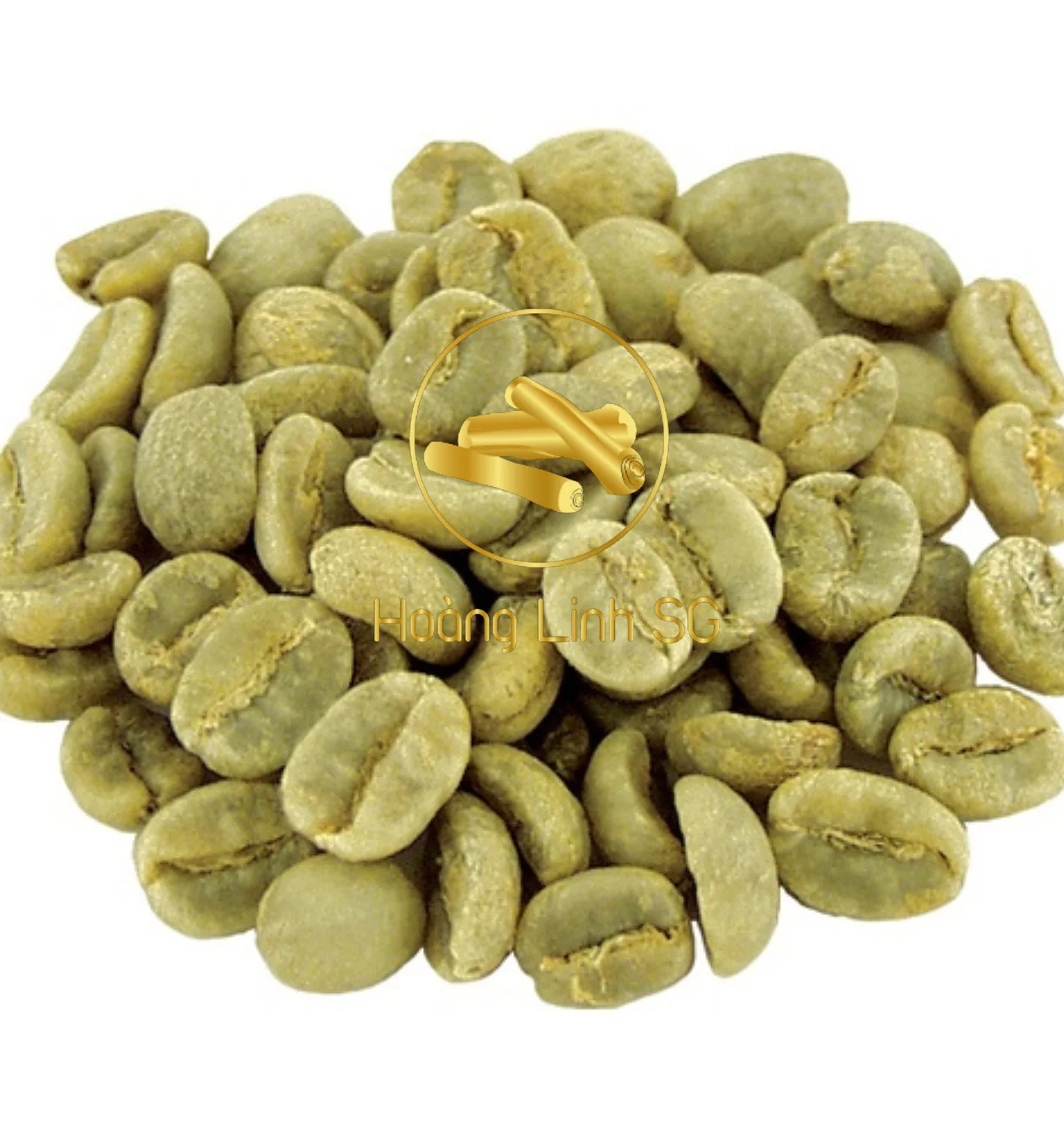 Wholesale Supplier High Quality Robusta Green Coffee Beans From Vietnam 100% Natural Coffee Beans   HOANG LINH SG Kimy +84938616