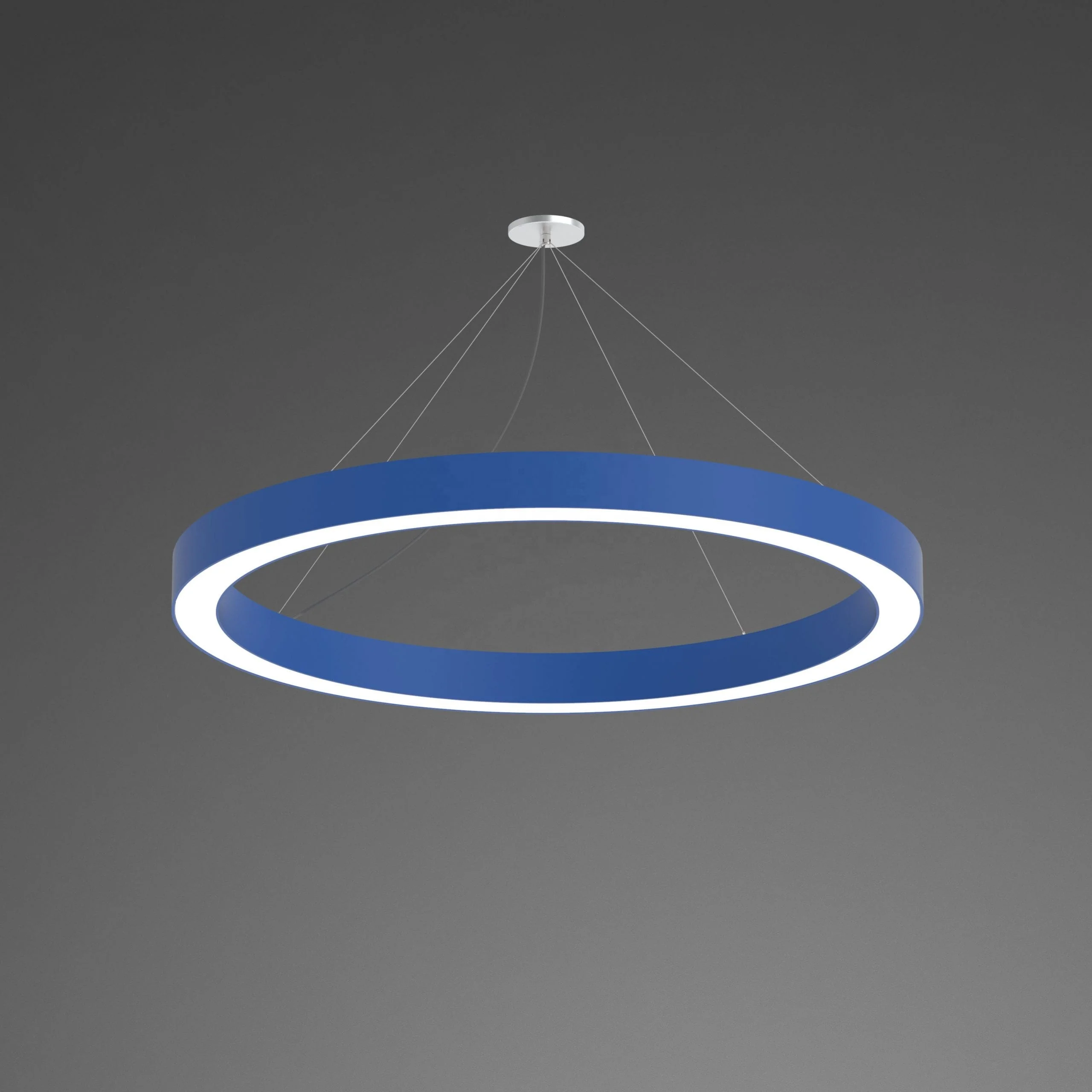 China circular pendent lamp indoor ring direct and indirect light.... suspended ring light with custom shapes
