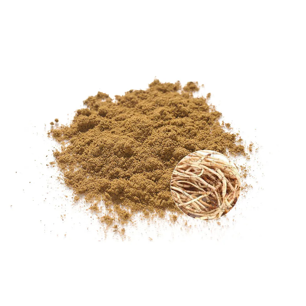 High Purity Organic Fisetin Supplement Herbal Extract Fisetin Smoketree Extract 98%
