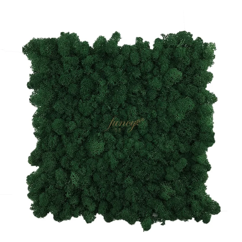2019 The Most Popular Room Decoration Reindeer Preserved Moss Panel