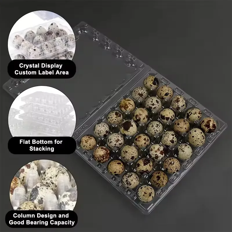 30 Cells Plastic Quail Tray Egg Packaging Packing For Eggs Quails 30 Holes Plastic Quail Egg Cartons For Sale