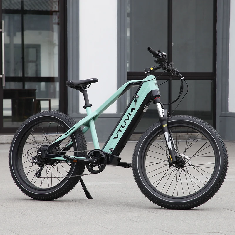 Customized 750w1000w fat tire customized dual battery electric bike electric mountain bike full suspension 52v e bikes
