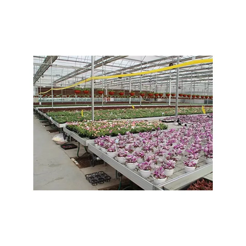 hydroponic seedbed grow tables Plastic Ebb Fodder Hydroponic Trays For Indoor Vegetable Planting