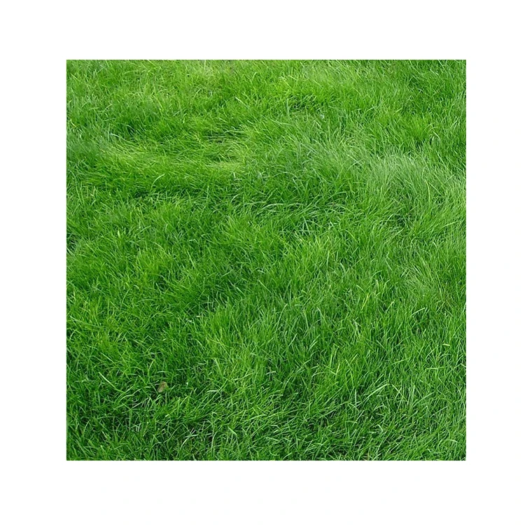 Садовый Водонепроницаемый Искусственный травяной газон для мини-футбольного поля