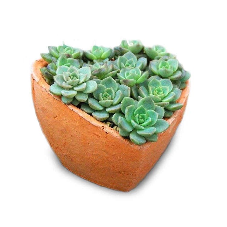 
Heart shaped terracotta planters wholesale 