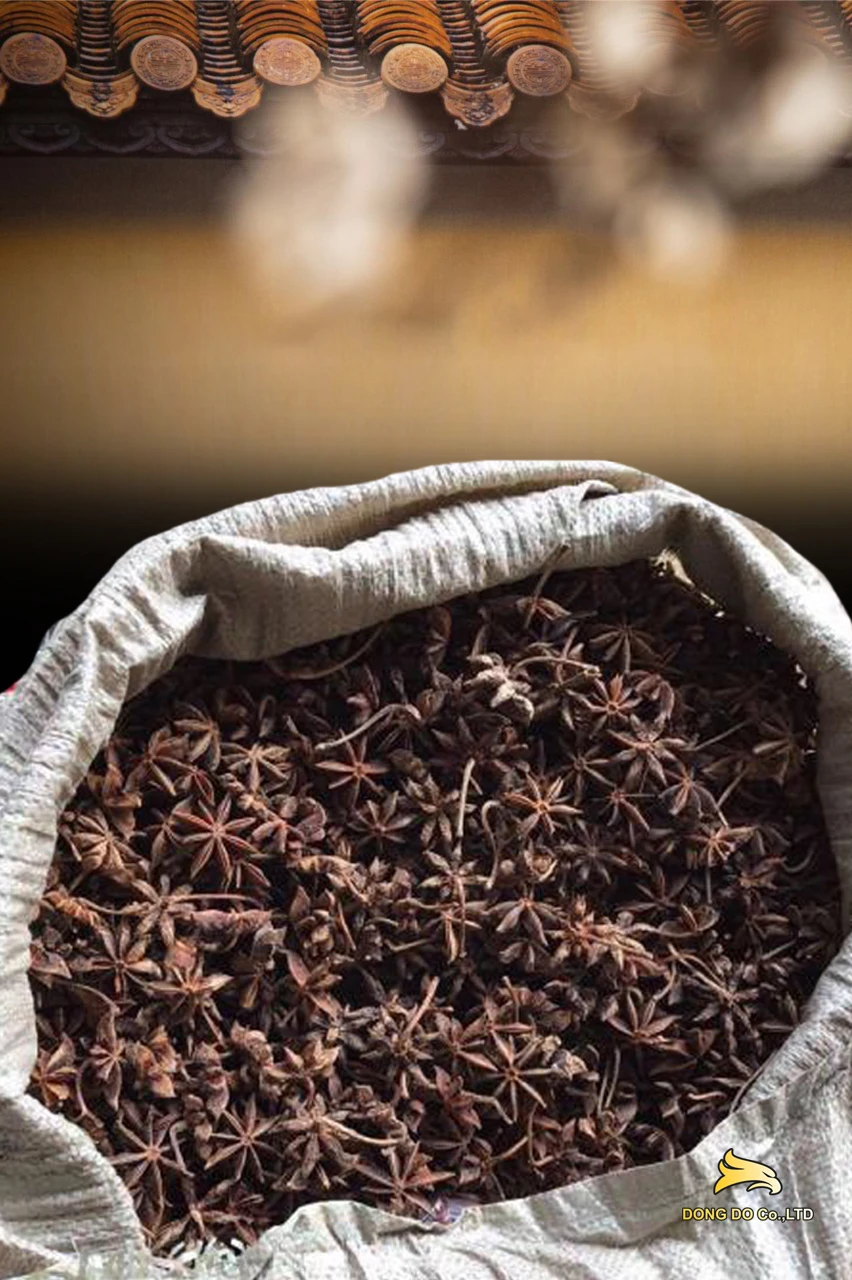 Cheap price Star anise origin Vietnam dried pepper single spices & herbs star anise seed star anise powder