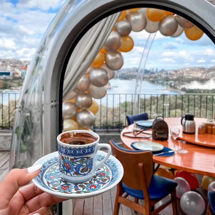 Professional Factory New Design Hard Polycarbonate Dome Geodesic Domes