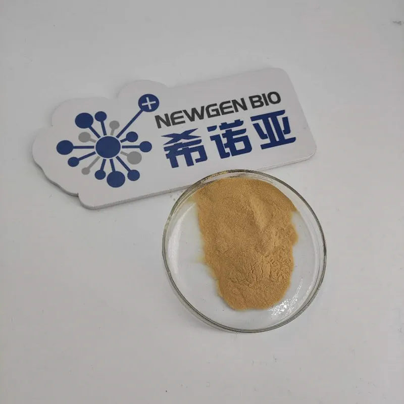 High Quality Acid Protease Enzyme Powder for Food Additive