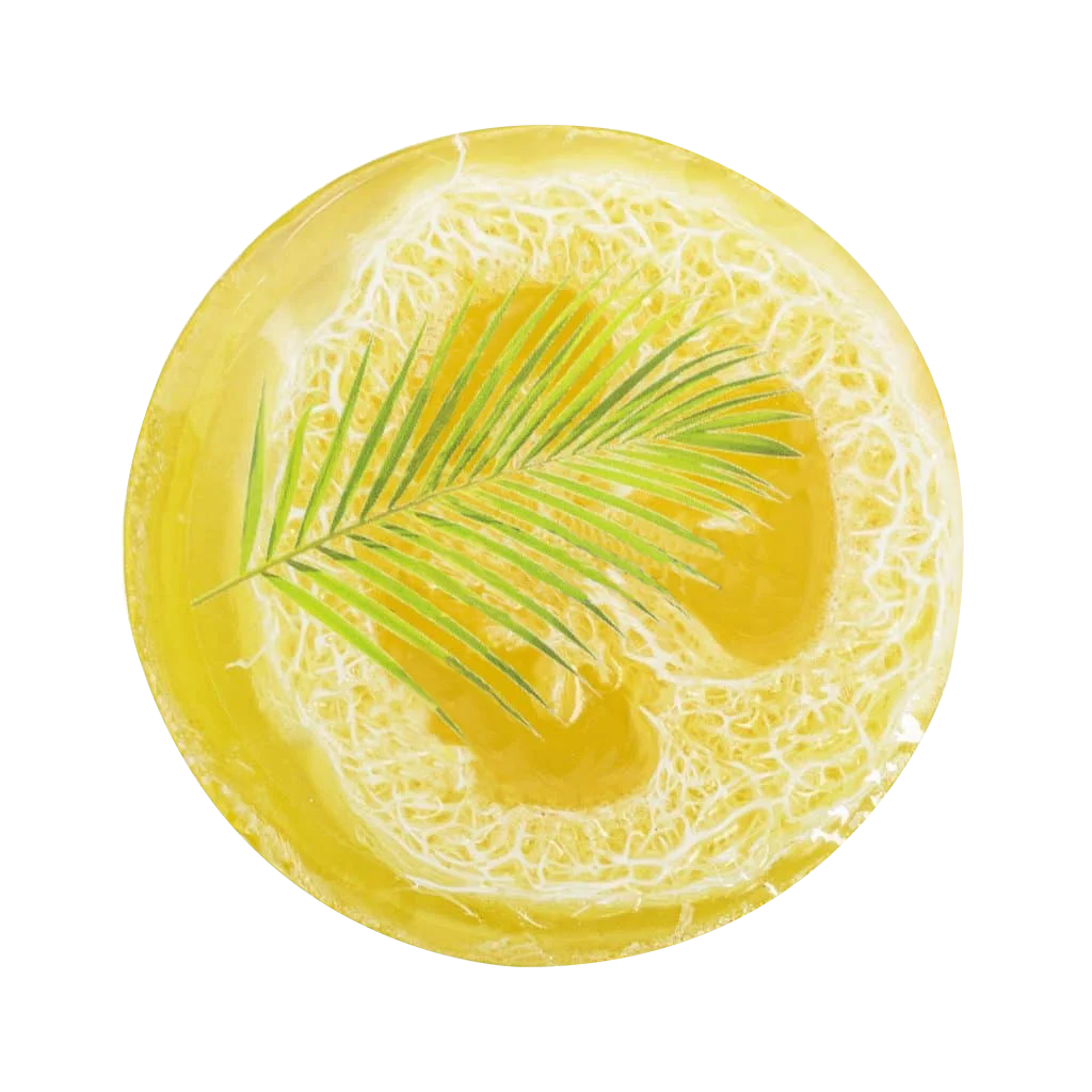 
LS0104 Loofah Soap Lilikoi with Sea Salt and Kukui Exfoliating Soap No Phthalates Fruit Flower Vegan Handmade Toilet Soap 