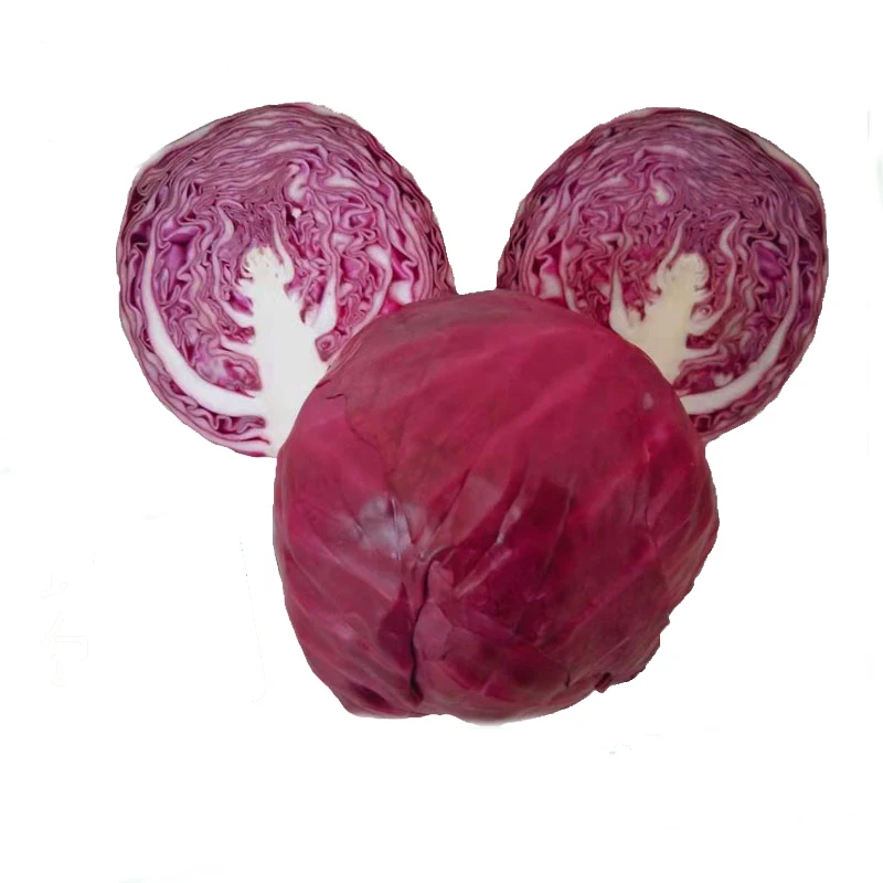 
Hot Sell Wholesale Fresh Purple Cabbage Red Cabbage 