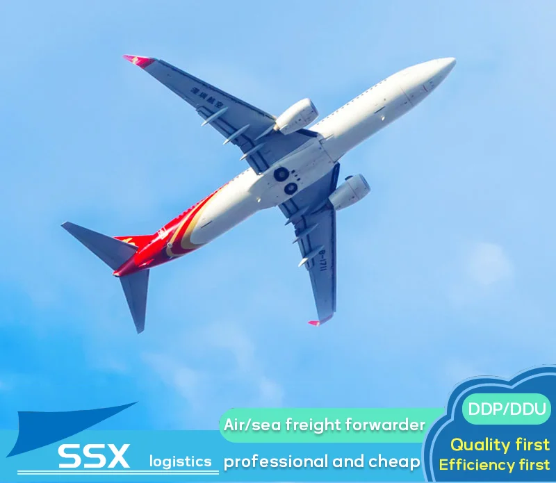 air shipping lcl fcl ocean sea freight forwarder shipping cargo  with good service sea freight shipping china to South Africa