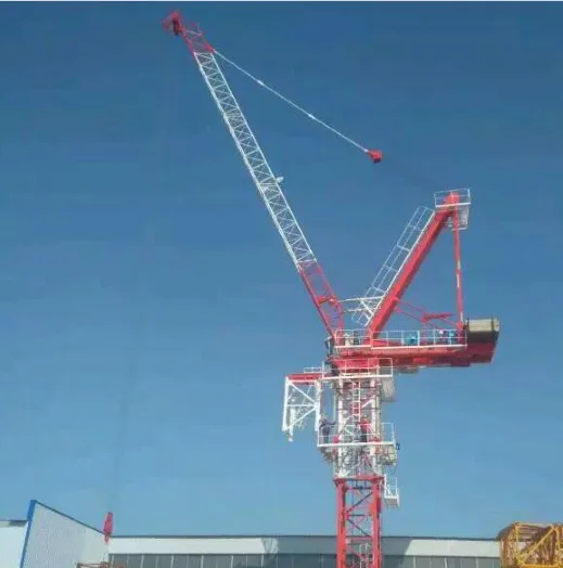 Shandong D120 6T luffing jib tower crane