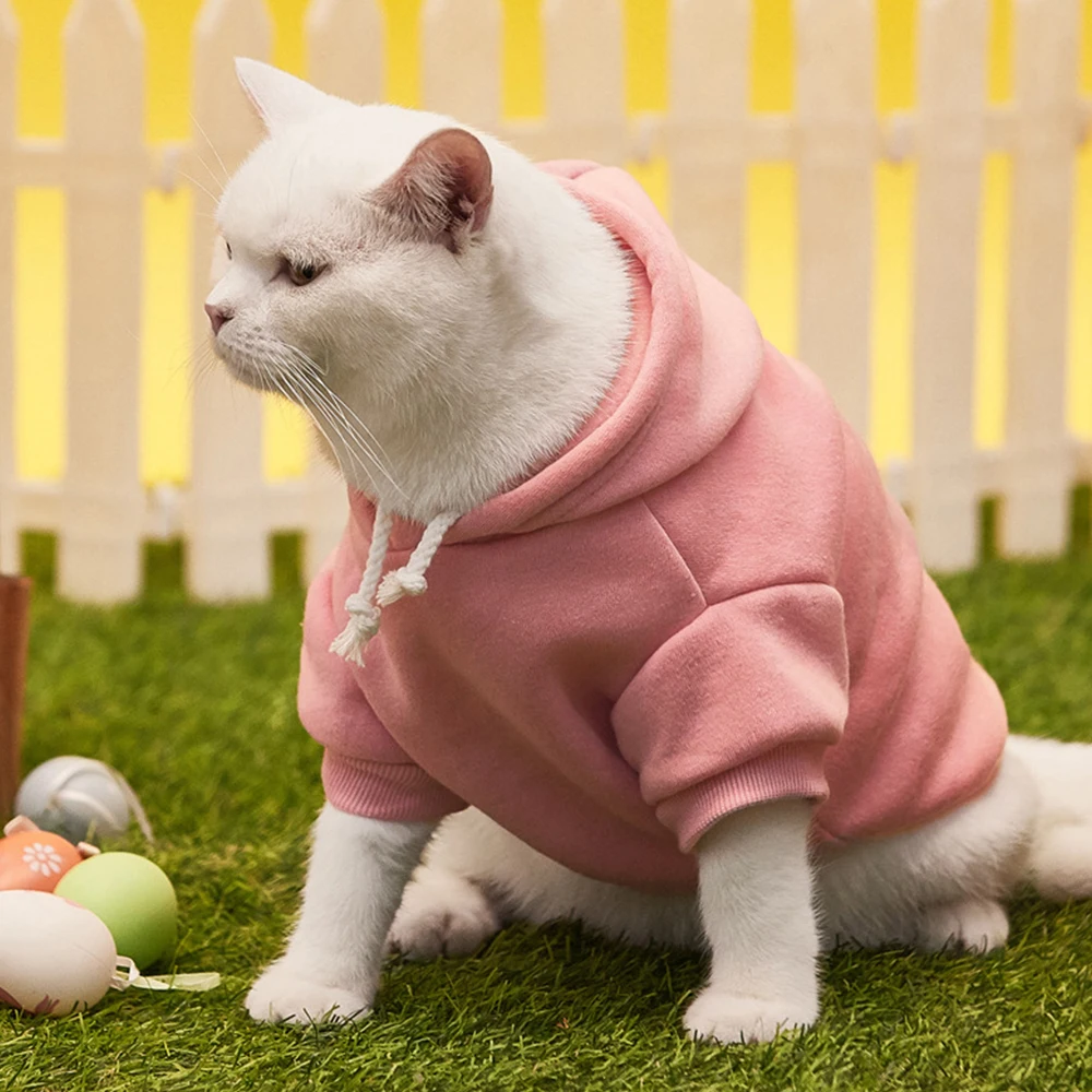 LIHONG Custom Logo Wholesale Dog Hoodies Sustainable Pet Clothes Clothes Rabbits Cat Dog Pet Apparel XS - XXXL