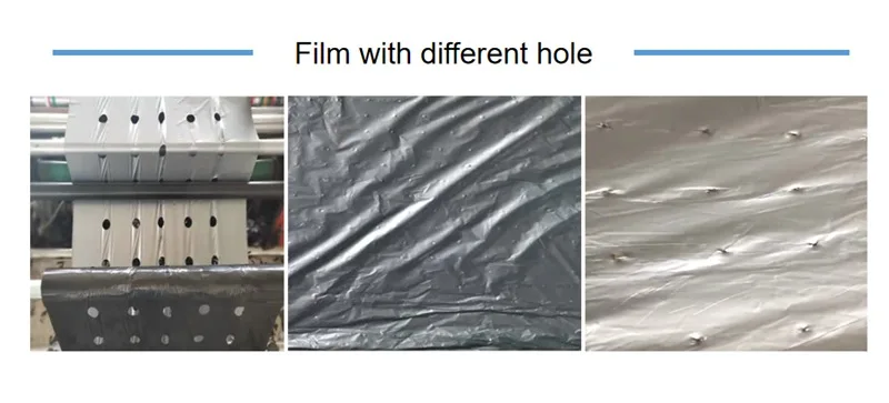 greenhouse strawberry Silver And Black plastic mulch film punch hole for Agriculture,silver black mulch film with hole12,plastic mulch film punch hole,Plastic Mulch Film For Agriculture,Silver And Black Agricultural Film
