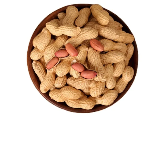 
chinese peanut snacks Roasted peanut in shell 