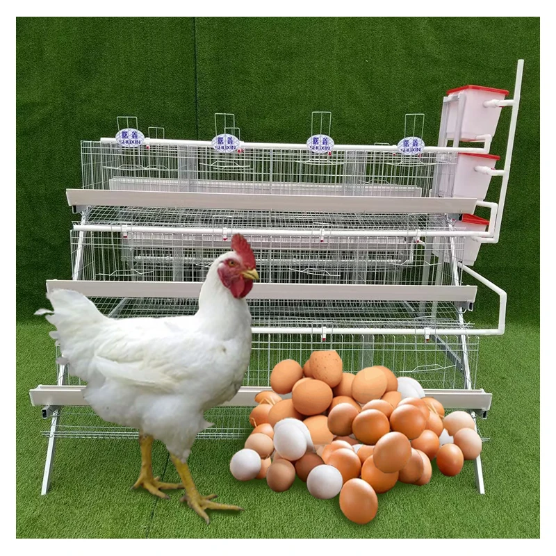 4 Tiers 128 Birds Egg Layer Chicken Poultry Farm Cage with Automatic Water Supply for Feeding