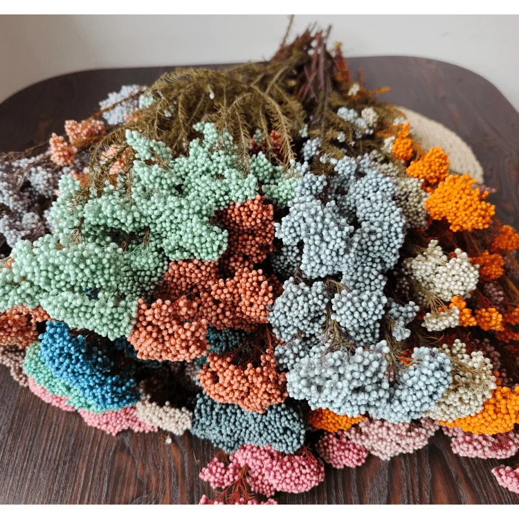 
preserved Millet flower for bouquet making and household flower arrangement preserved rice flower 