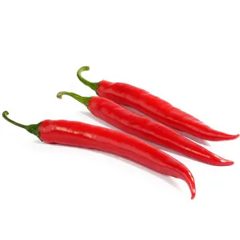 Best Quality Spice and Herbs Products Fresh Red Chilli Pepper for Food Flavour Available at Wholesale Price from China