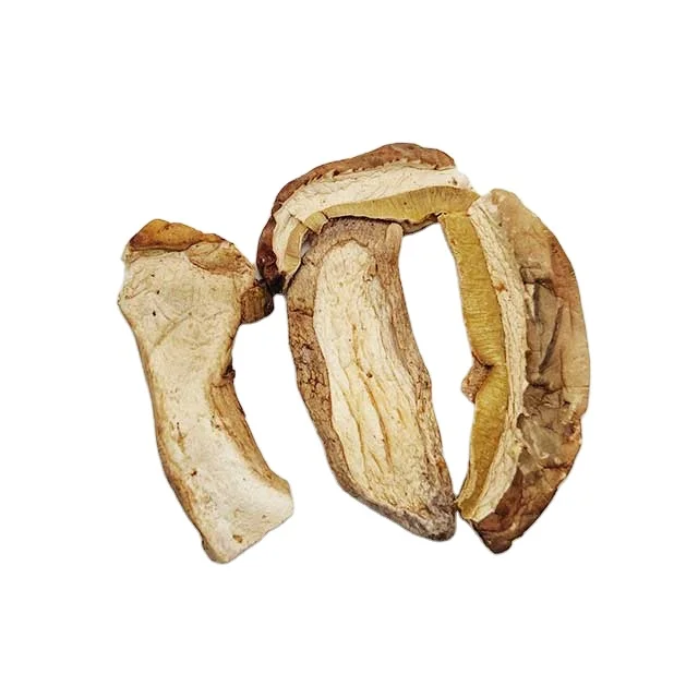 Porcini seene hind Kuivatatud porcini seene hind boletus